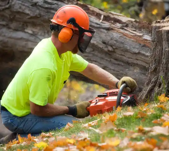 tree services Bonnetsville